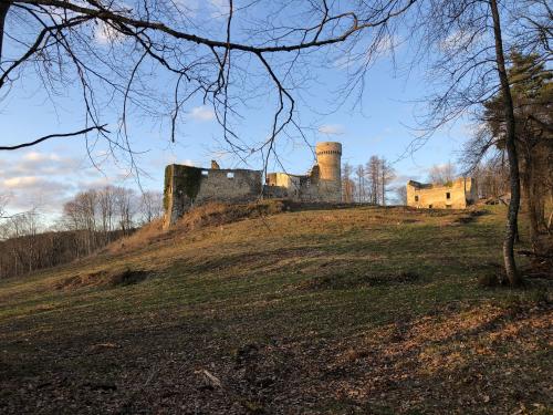 Château de la Faye [19-02-2022](IMG_4439).jpg